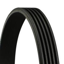 CONTINENTAL - CONTITECH 5PK975 - ACANALADA 443X80X22MM