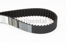 CONTINENTAL - CONTITECH CT1034 - DISTRIBUCION 255X160X30MM