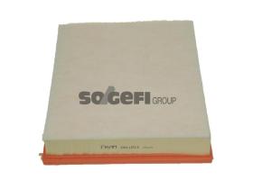 FRAM CA11013 - FILTER ENGINE AIR CA11013 FRM BOX