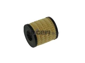 FRAM CH10717AECO - FILTRO FRAM OIL
